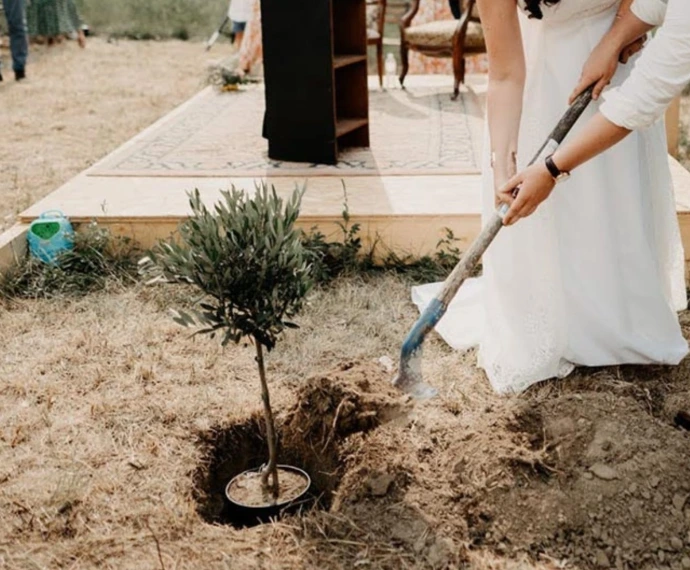 Le rituel de l'arbre